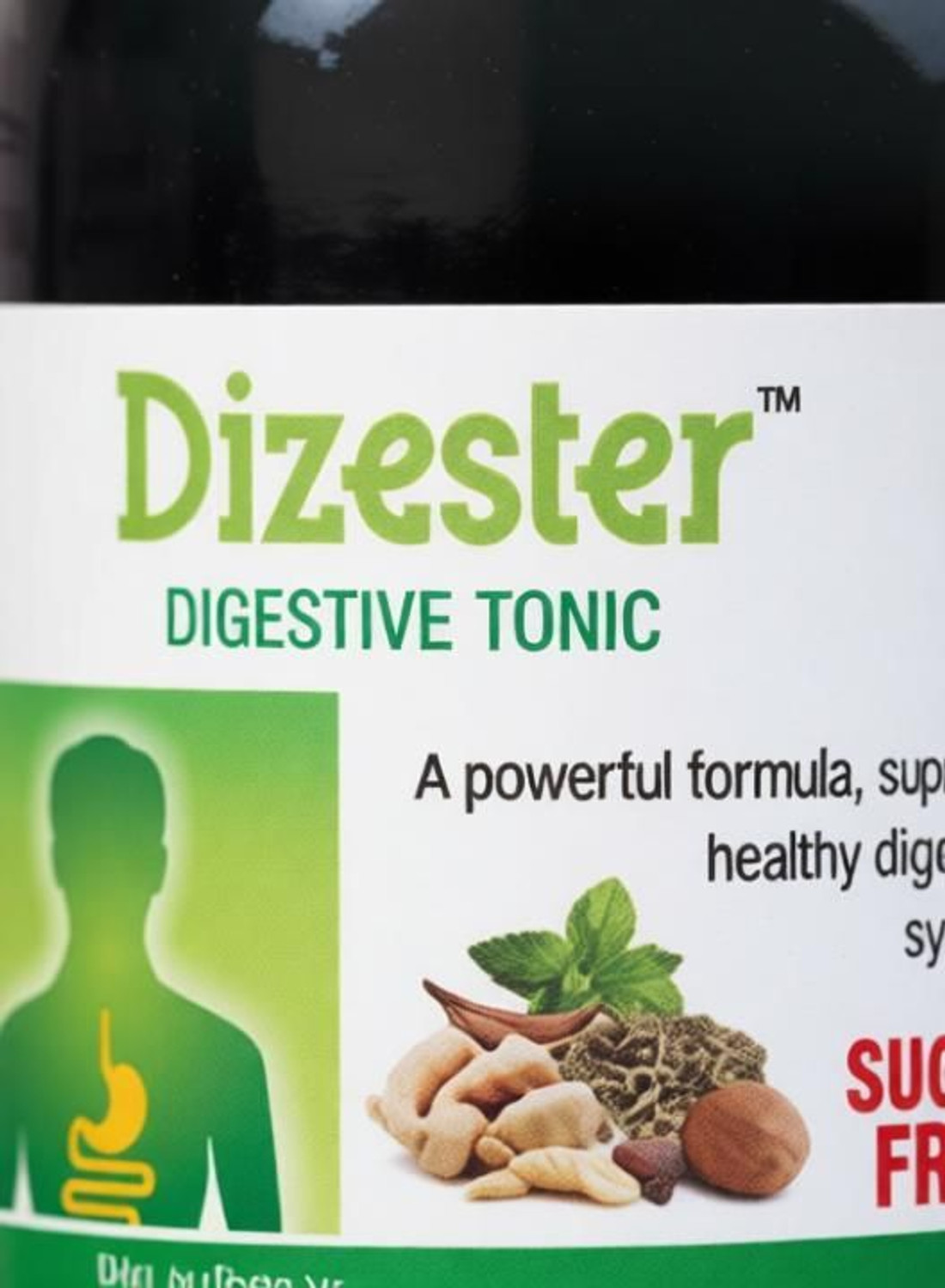 Image of Dr.Willmar Schwabe India Dizester Syrup