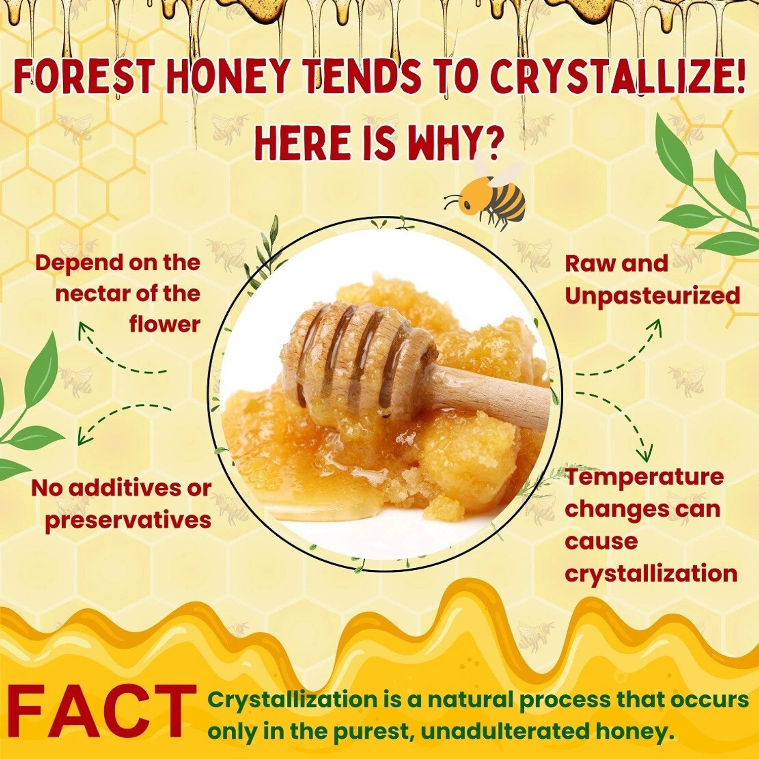 Image of Love Of India Forest Honey (Raw, Unfiltered, Unprocessed & Non-Pasteurised)