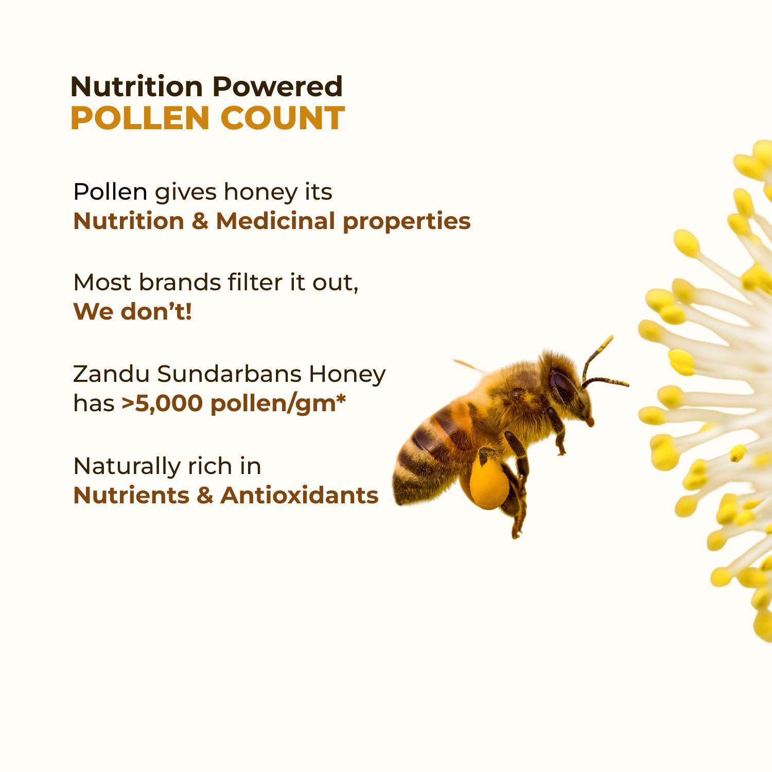 Image of ZANDU Sundarban Forest Honey | Signature Taste I Pollen-Rich I No Sugar Adultration