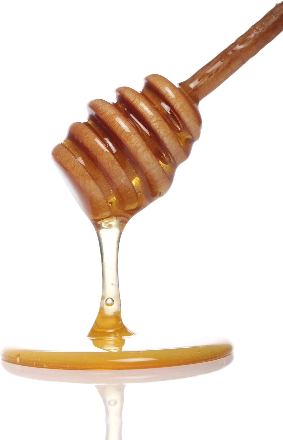 Image of WONDER BEE multiflora organic honey 250g