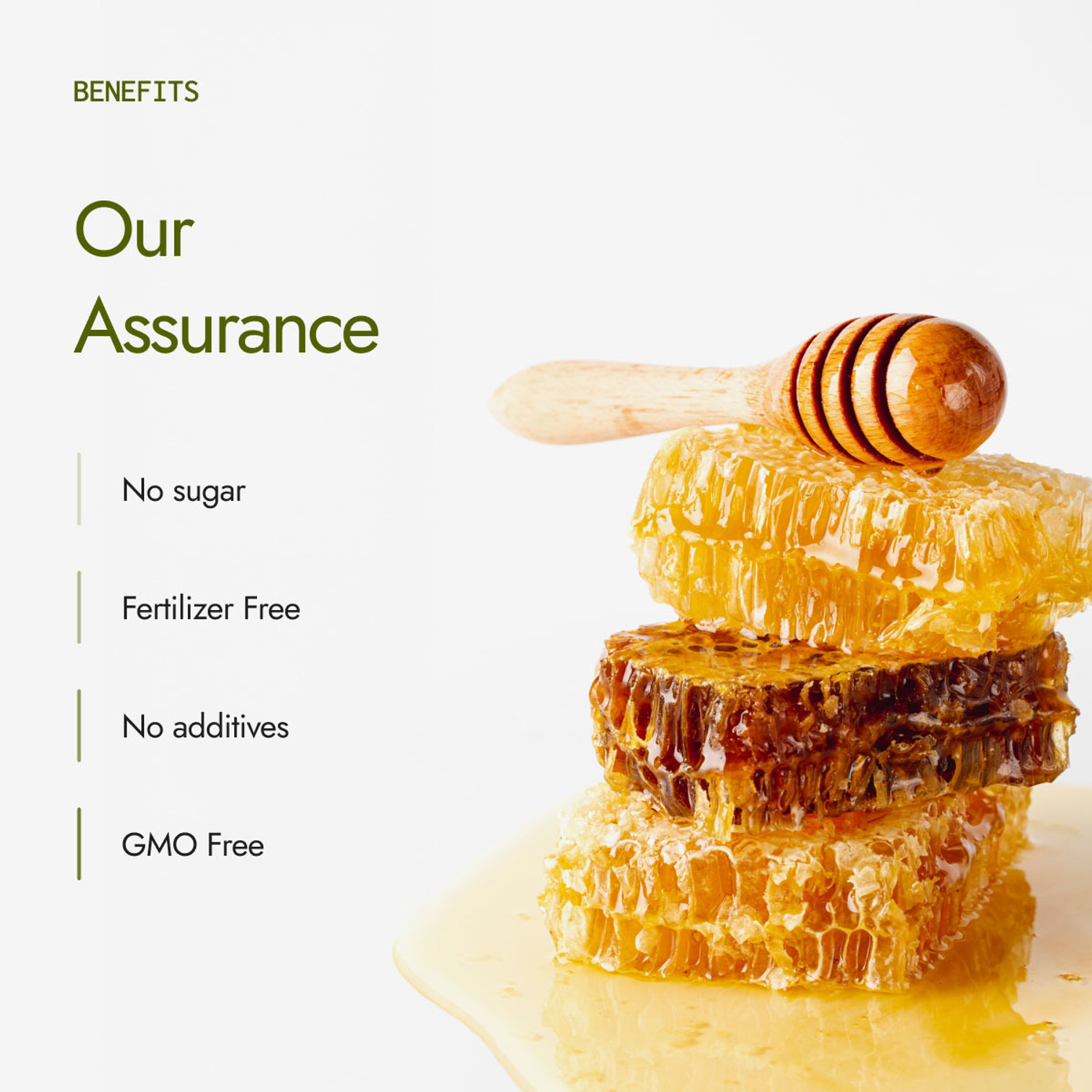Image of Kapiva Organic Honey | 100% Natural | Strengthens Immunity & Aids Digestion |