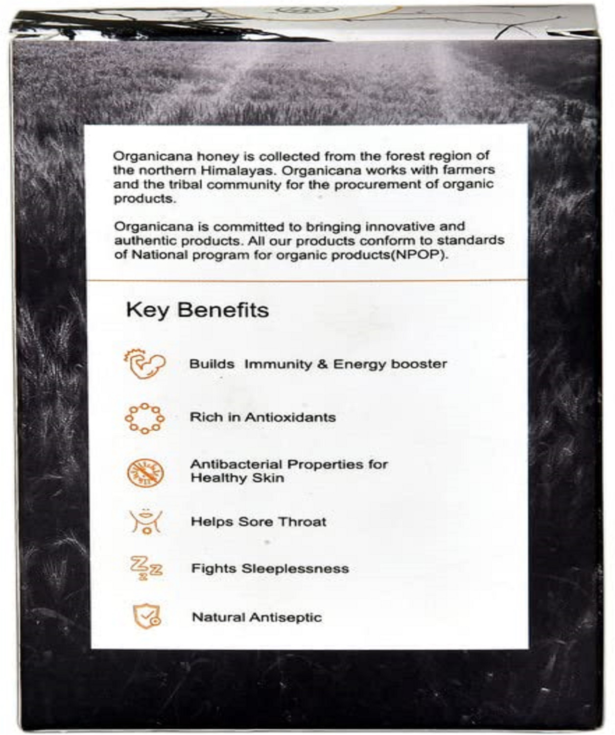 Image of Organicana Honey Raw Sachet Pack of 25Pcs (1 Box)