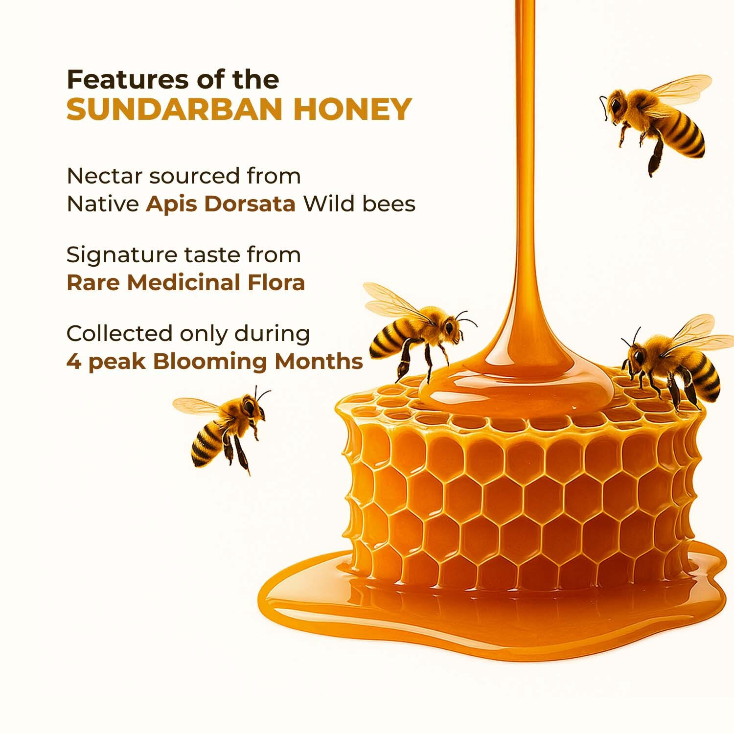 Image of ZANDU Sundarban Forest Honey | Signature Taste I Pollen-Rich I No Sugar Adultration