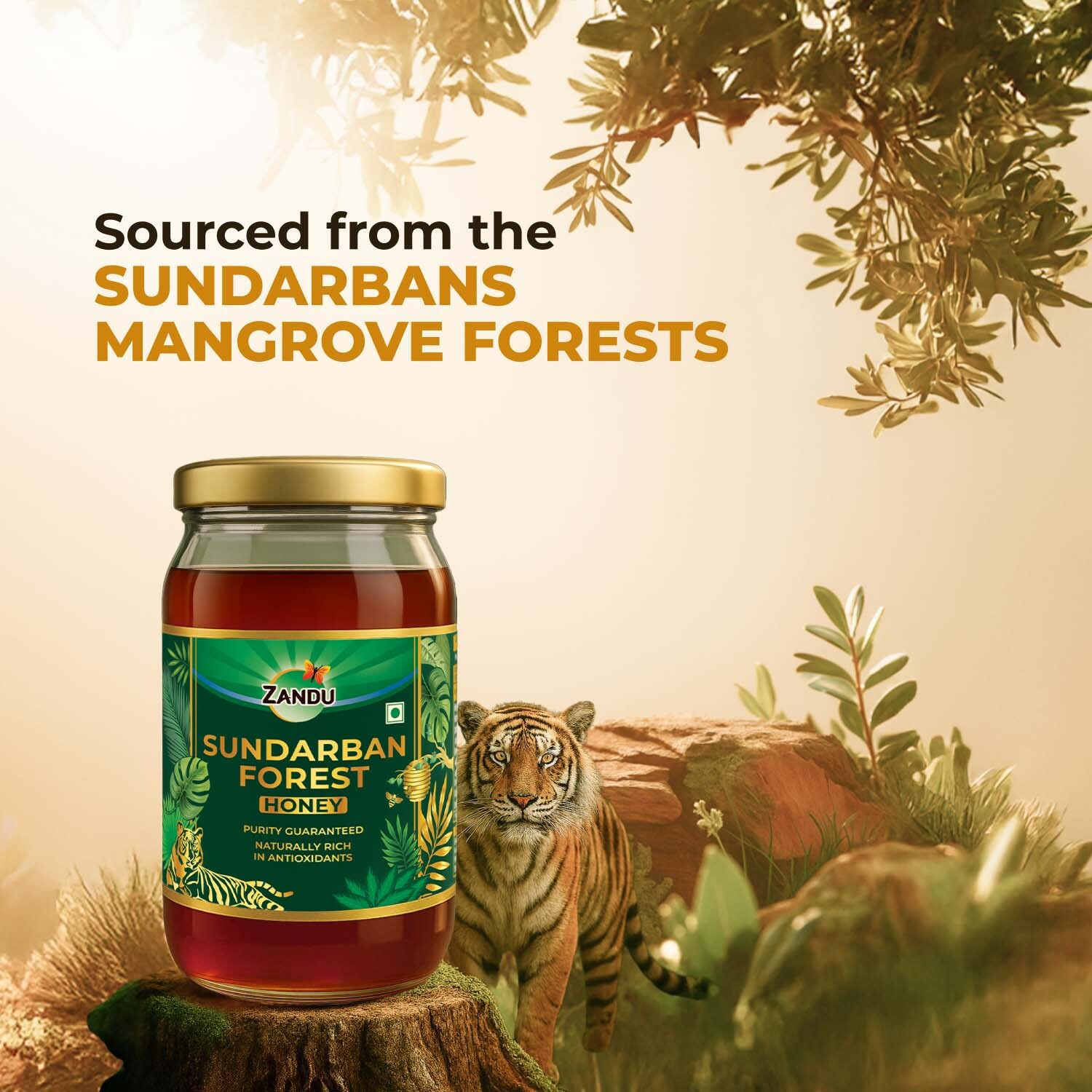 Image of ZANDU Sundarban Forest Honey | Signature Taste I Pollen-Rich I No Sugar Adultration