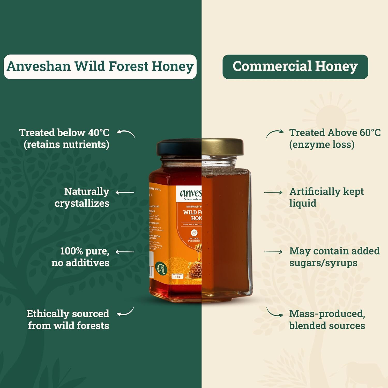 Image of Anveshan Wild Forest Honey | Minimally Processed | NMR Tested | Immunity Booster