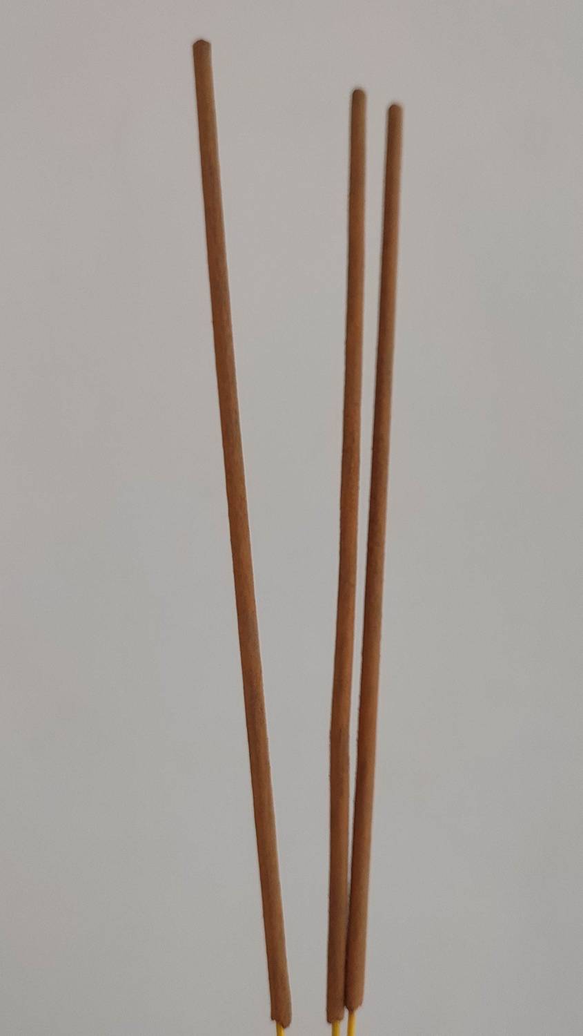 AADHYAMB RUDRA Darsh Rudra Darsh