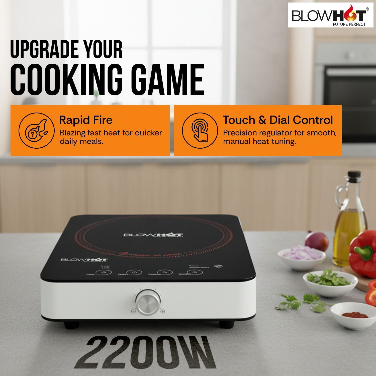 Image of BLOWHOT 2200 W Infrared Cooktop Touch Panel