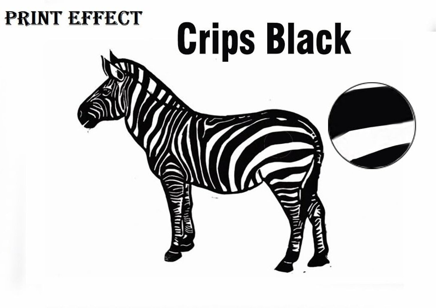 Image of Gedi GI71 Refill Ink for Canon G1020,G2020,G2021,G2060,G2730,G3020,G3021 Printer Black Ink Bottle