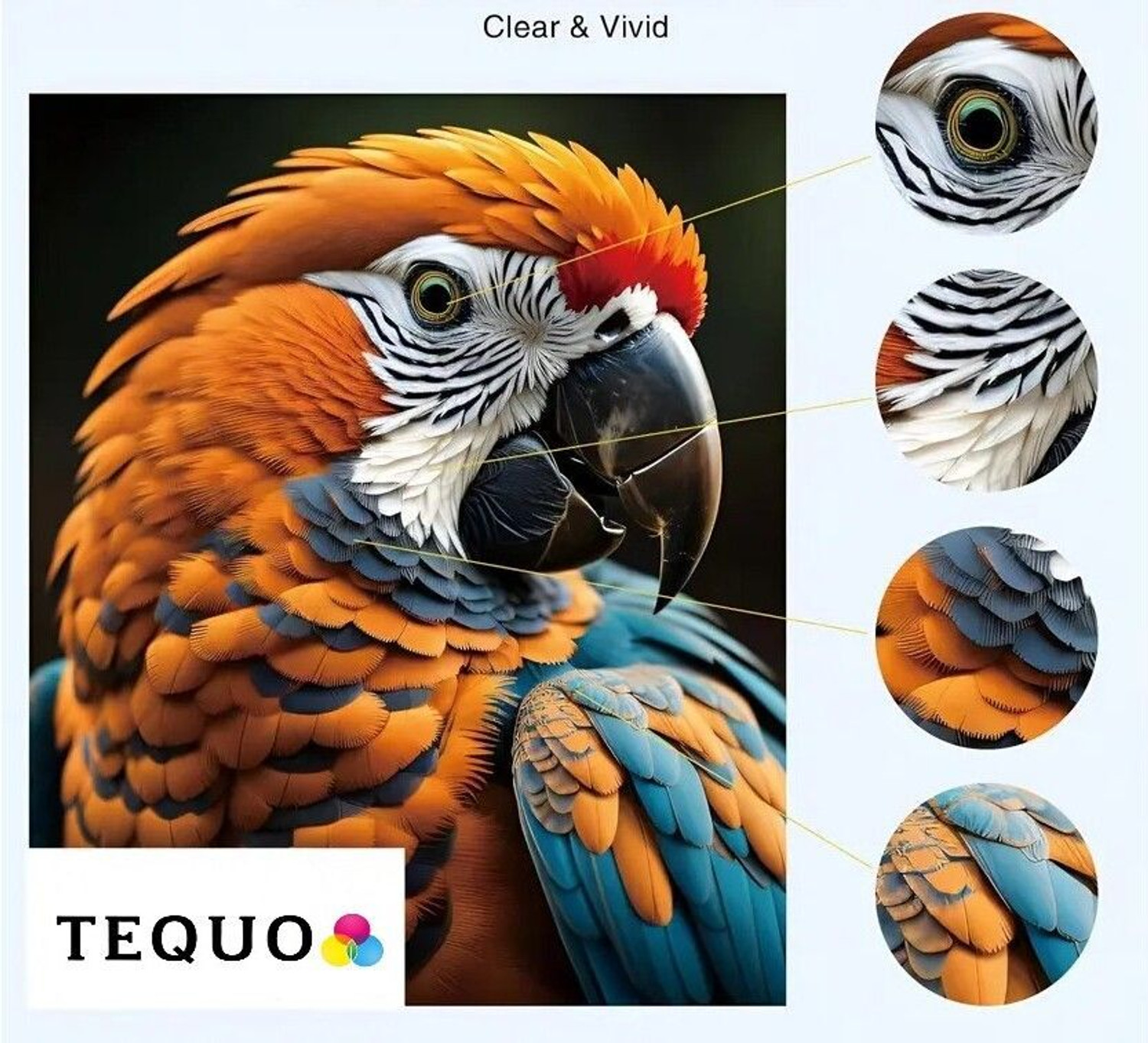 Image of tequo GI 70 /71 Ink For G1737,G2020,G2021,G2060,G3020,G3730,G3770,G4770 Printers Black + Tri Color Combo Pack Ink Bottle