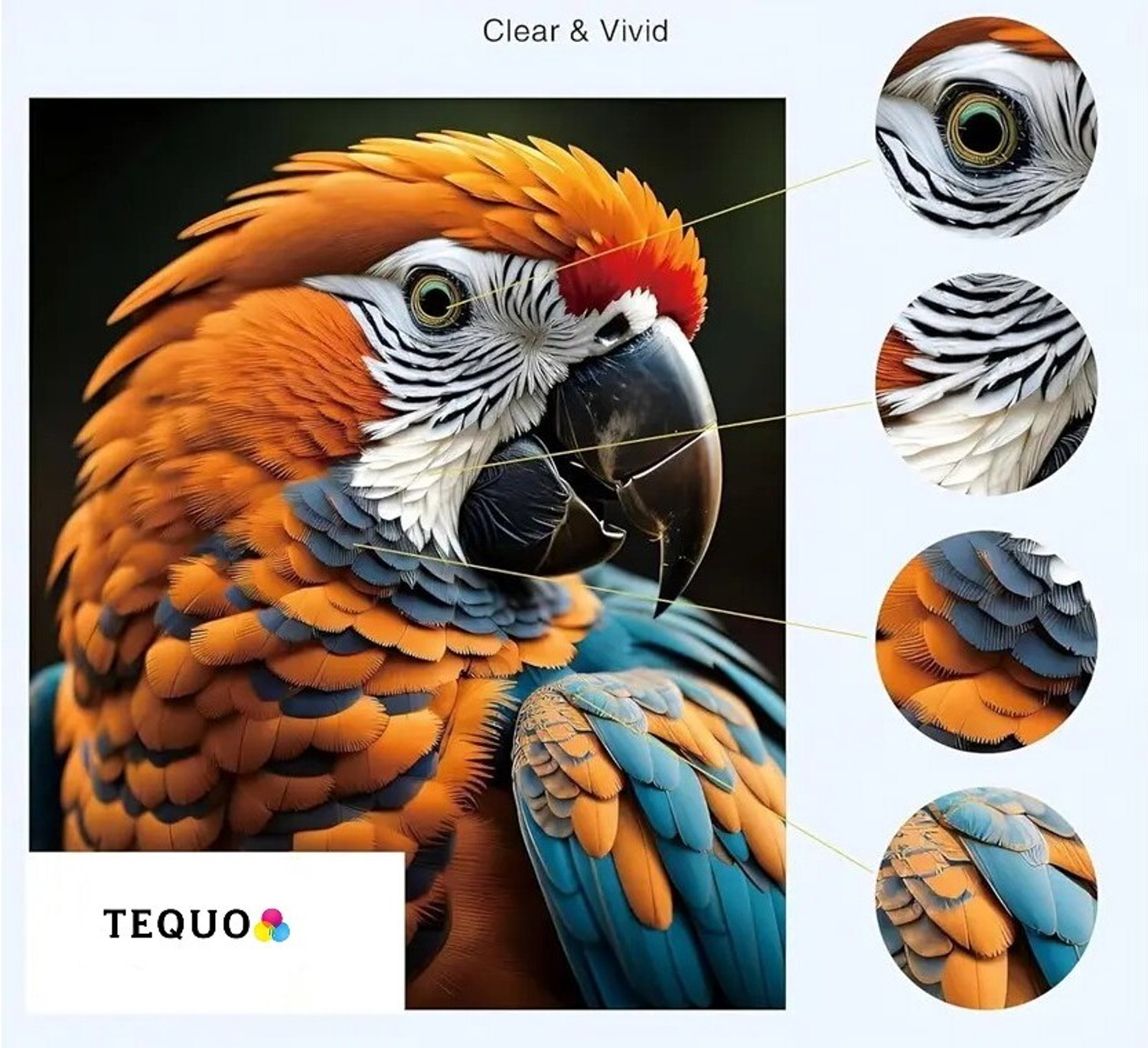 Image of tequo GI 70 /71 Ink For G1737,G2020,G2021,G2060,G3020,G3730,G3770,G4770 Printers Black Ink Bottle