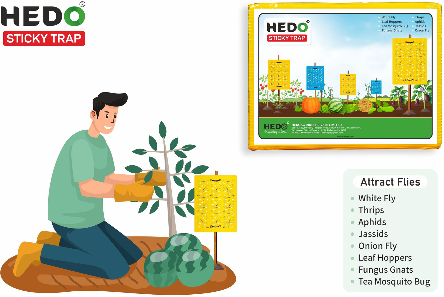 Image of HEDO Yellow & Blue Mix Insect Catcher Sheet To Control Thrips,Aphid & Whitefly(25Pcs)