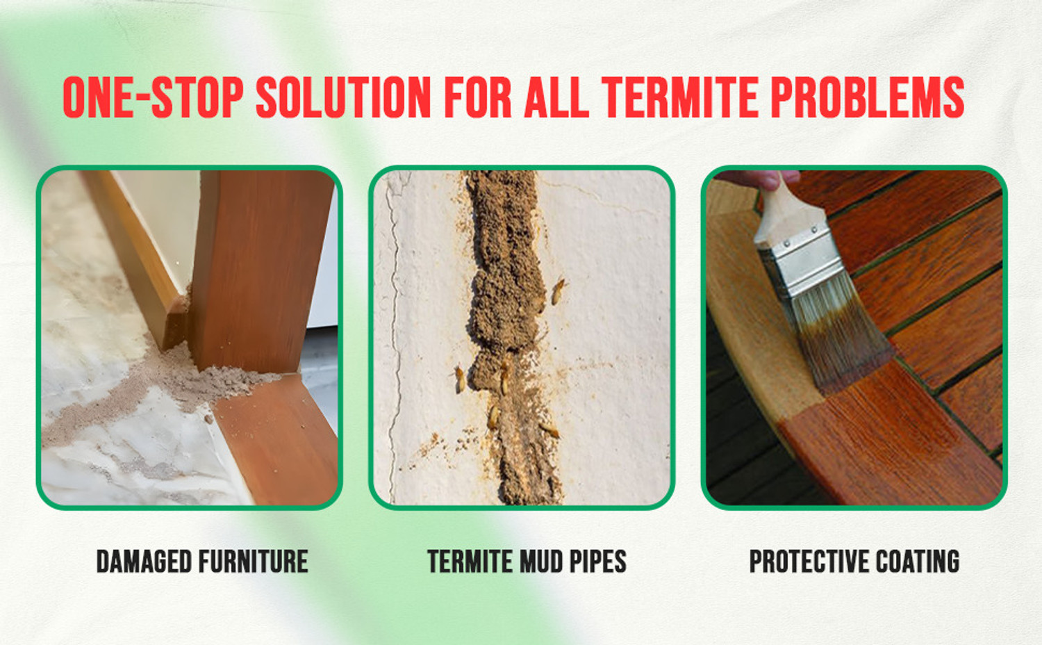 Image of HiCare Termiseal Herbal Wood Preservative Spray solution for termites