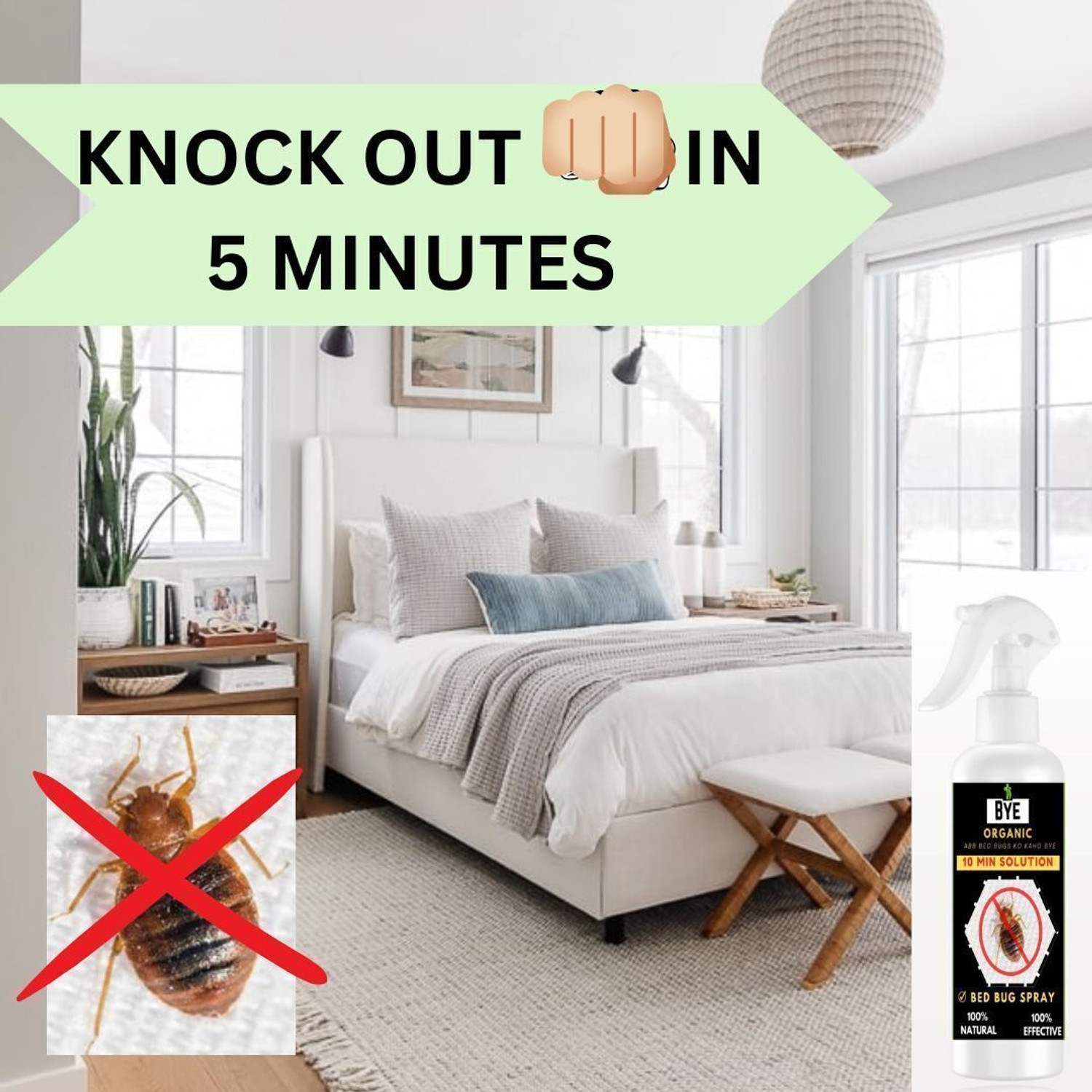Image of Bye organic Bedbug Spray 200ml | Natural, Non-Toxic & Effective Bedbug Repellent for Home
