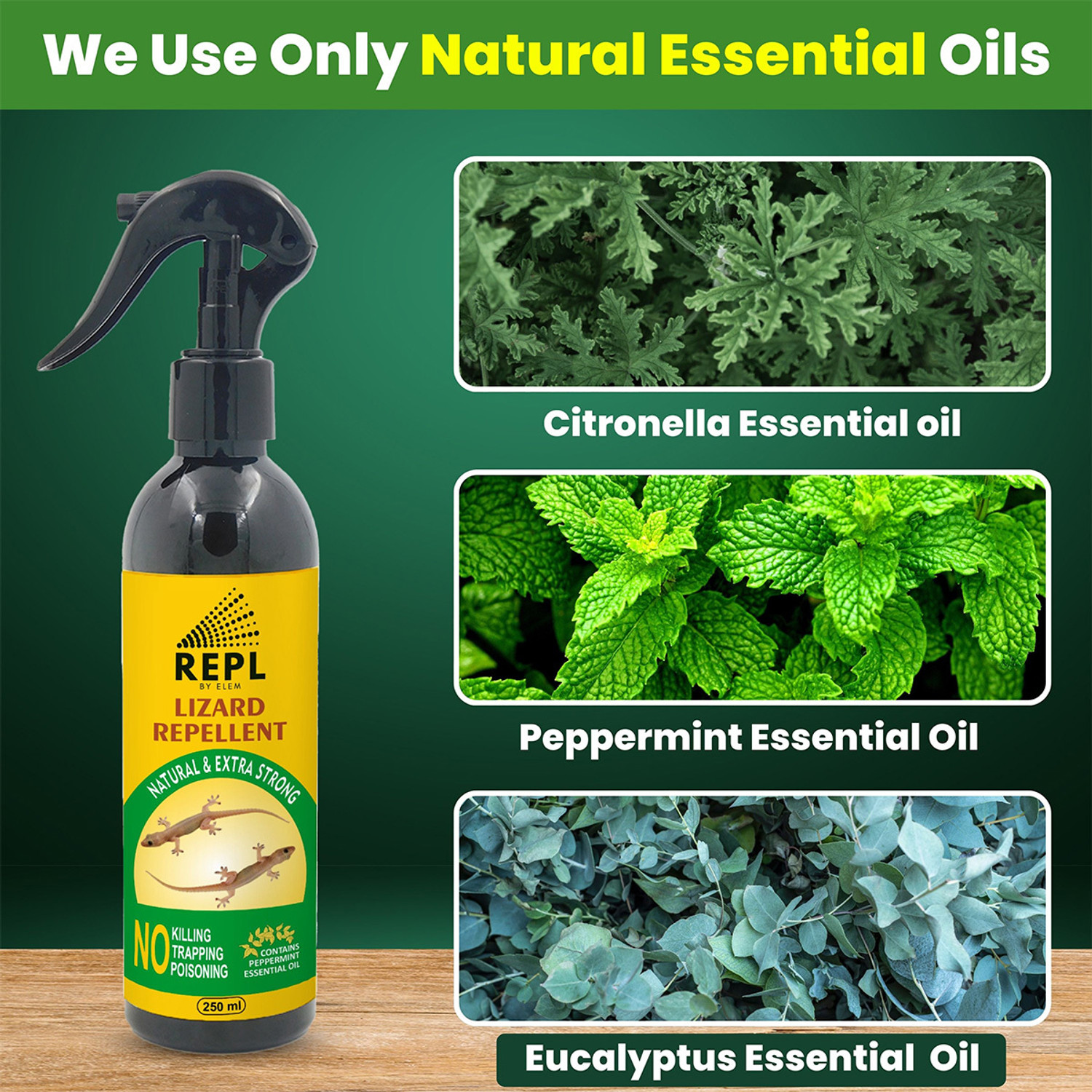 Image of ELEM Repl Lizard Repellent Spray For Indoor & Outdoor