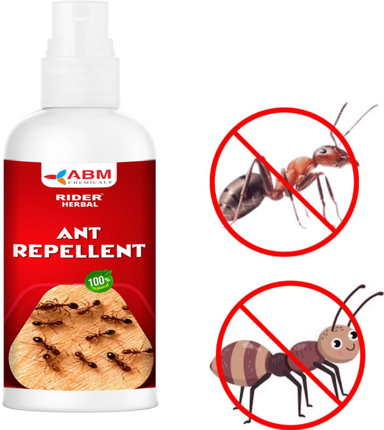 RIDER ant killer spray for home Ant Repellent
