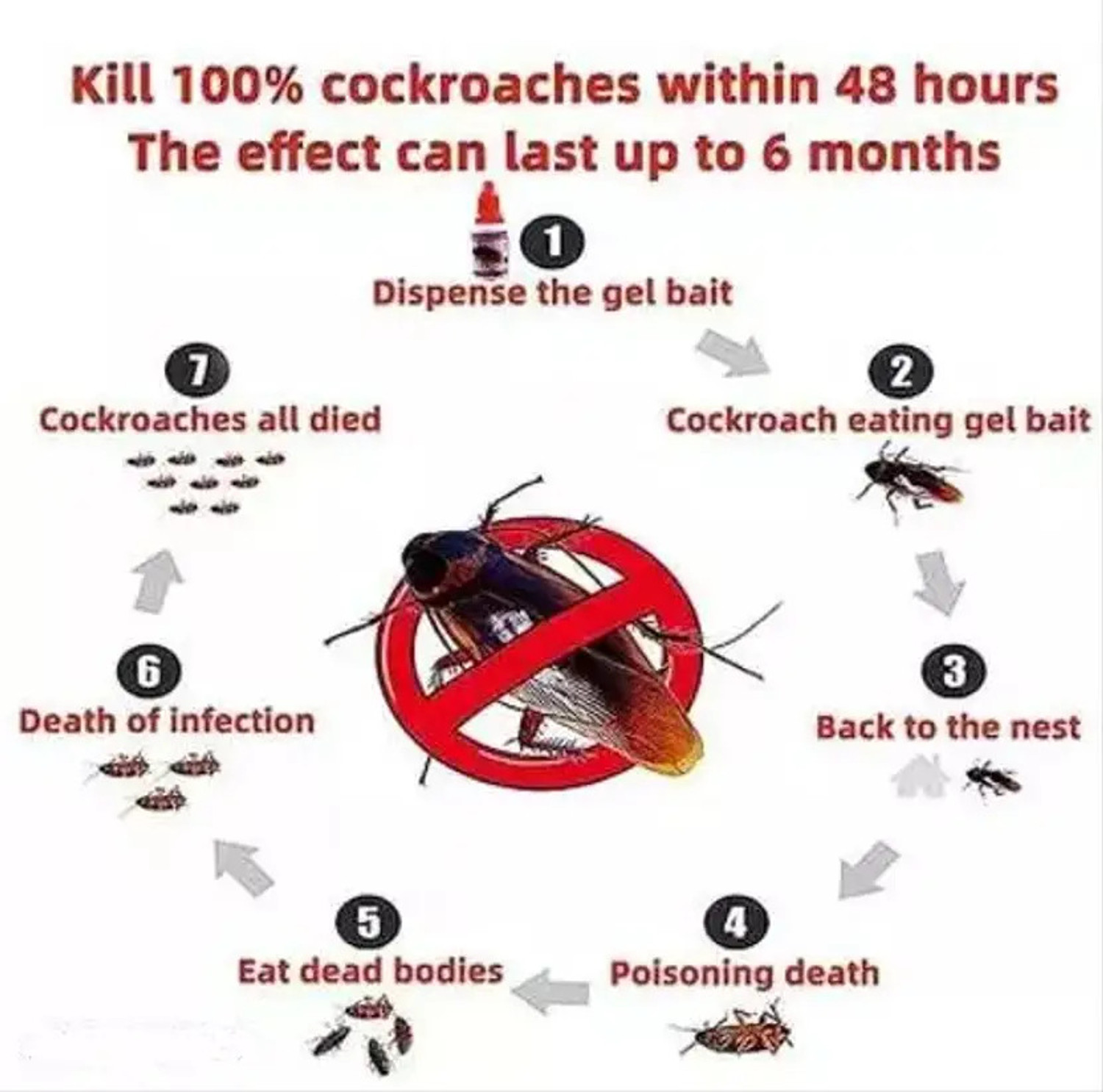 Image of AQUORAL anti roach powerful cockroach gel