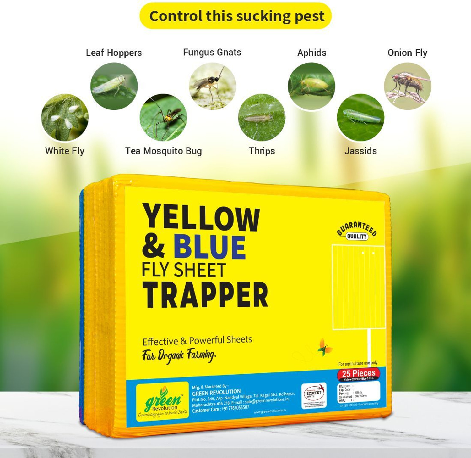 Image of Green Revolution New Sticky Trap Size 150mm * 200mm, Useful For Agri, Garden and Farms.