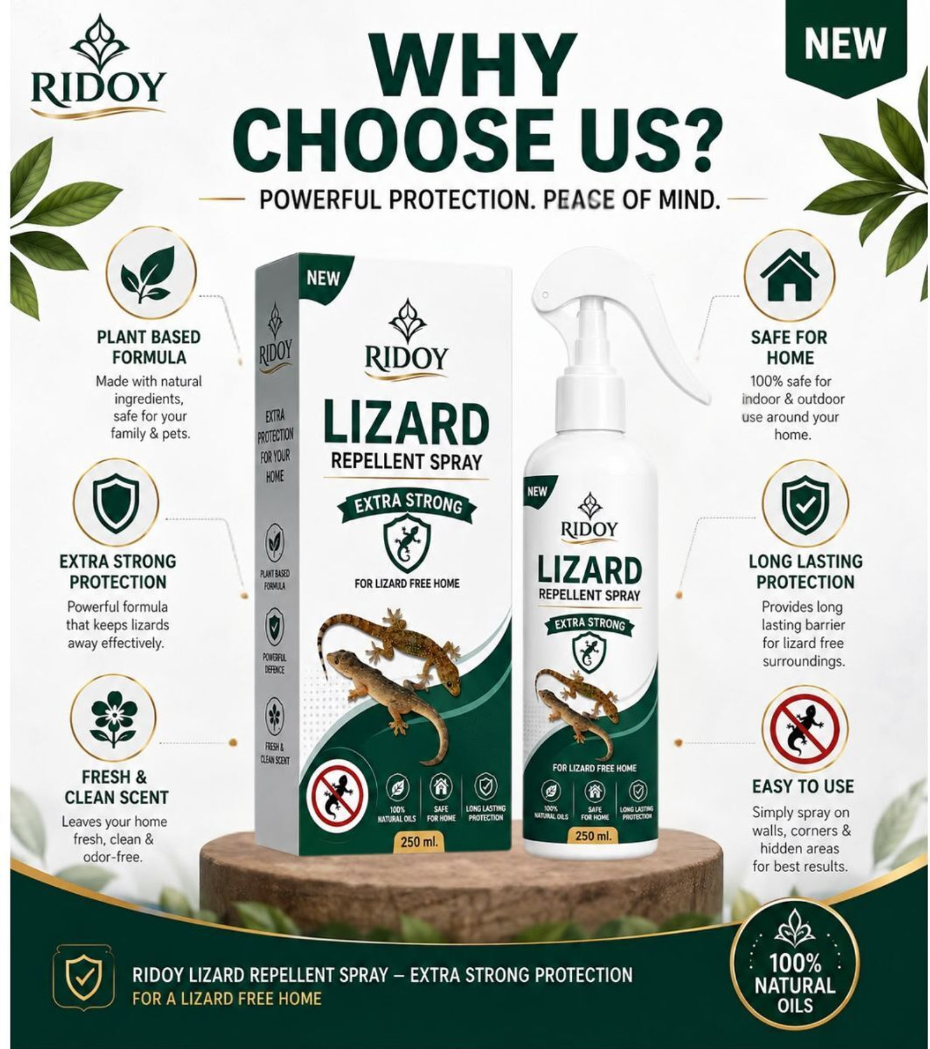 Image of RIDOY Lizard Killer Spray | Professional Lizard Repellent Spray Formula for Routine