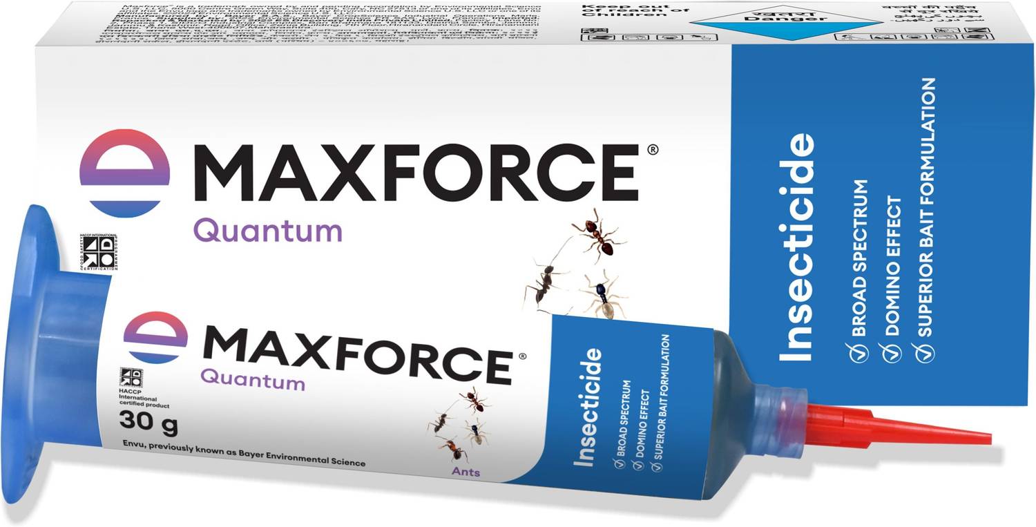 maxforce Quantum Ant Killer Gel for Indoor & Outdoor Use