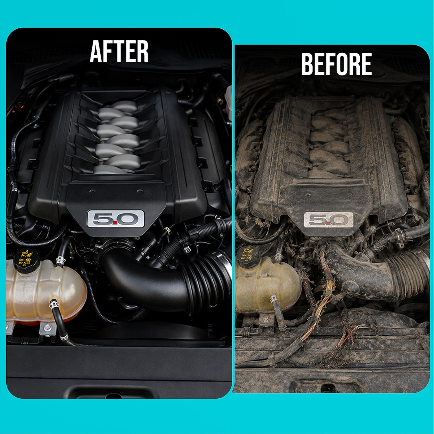 Image of CABIUS Natural Rat Repellent Spray for Cars | Rodent Protection for Engine Wires