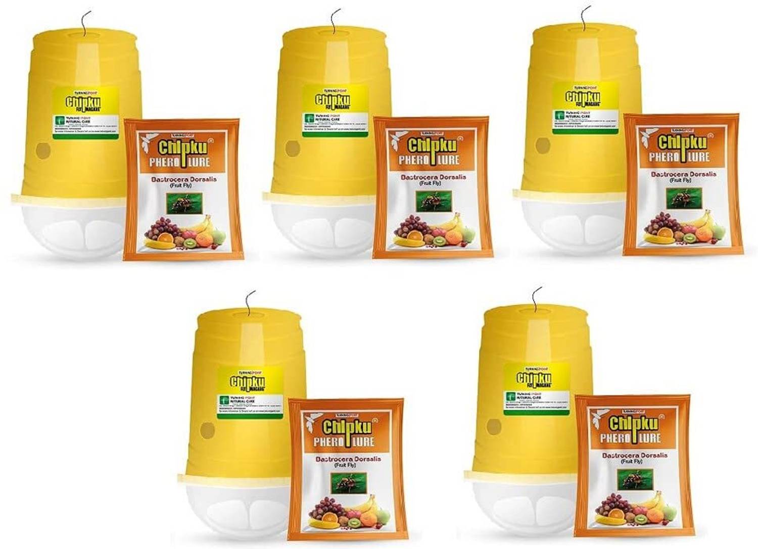 Chipku Glass Trap with fruit Fly Lure Pack Of 5 / Pheromone Trap