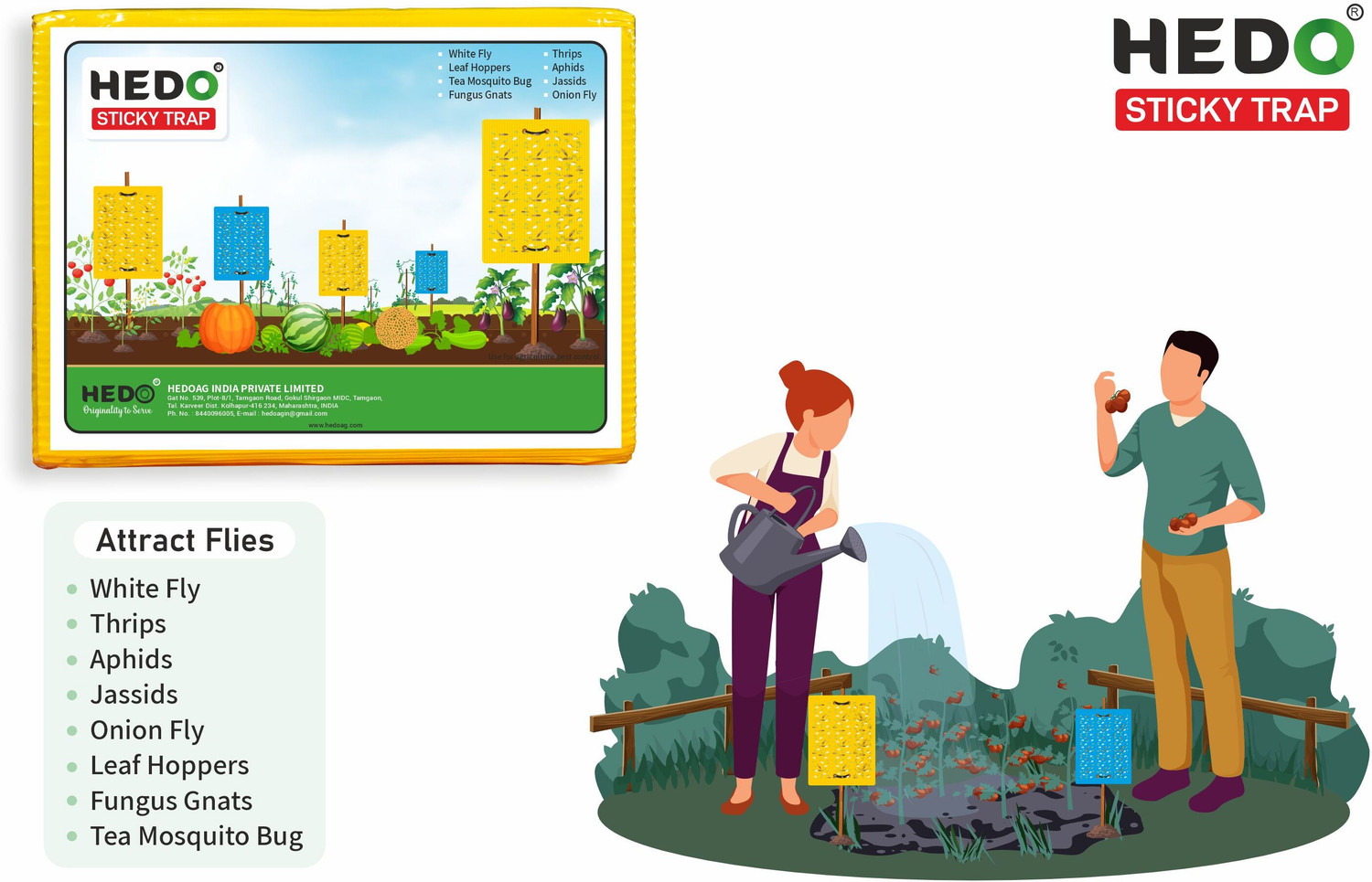 Image of HEDO Yellow & Blue Mix Insect Catcher Sheet To Control Thrips,Aphid & Whitefly(25Pcs)