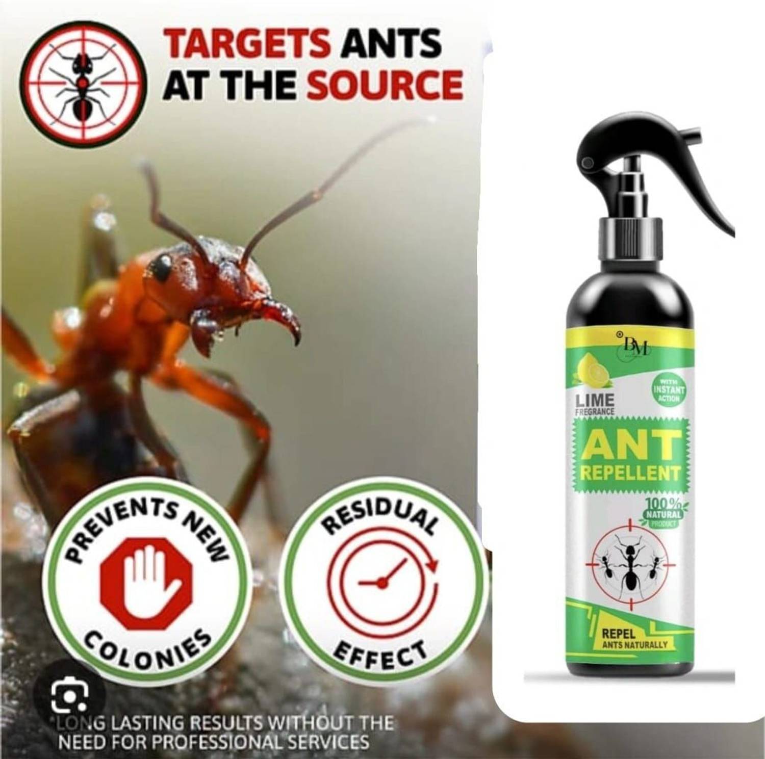 A&S HUB Ant Control Spray 200 ml, natural herbal repellent spray made with plant oils