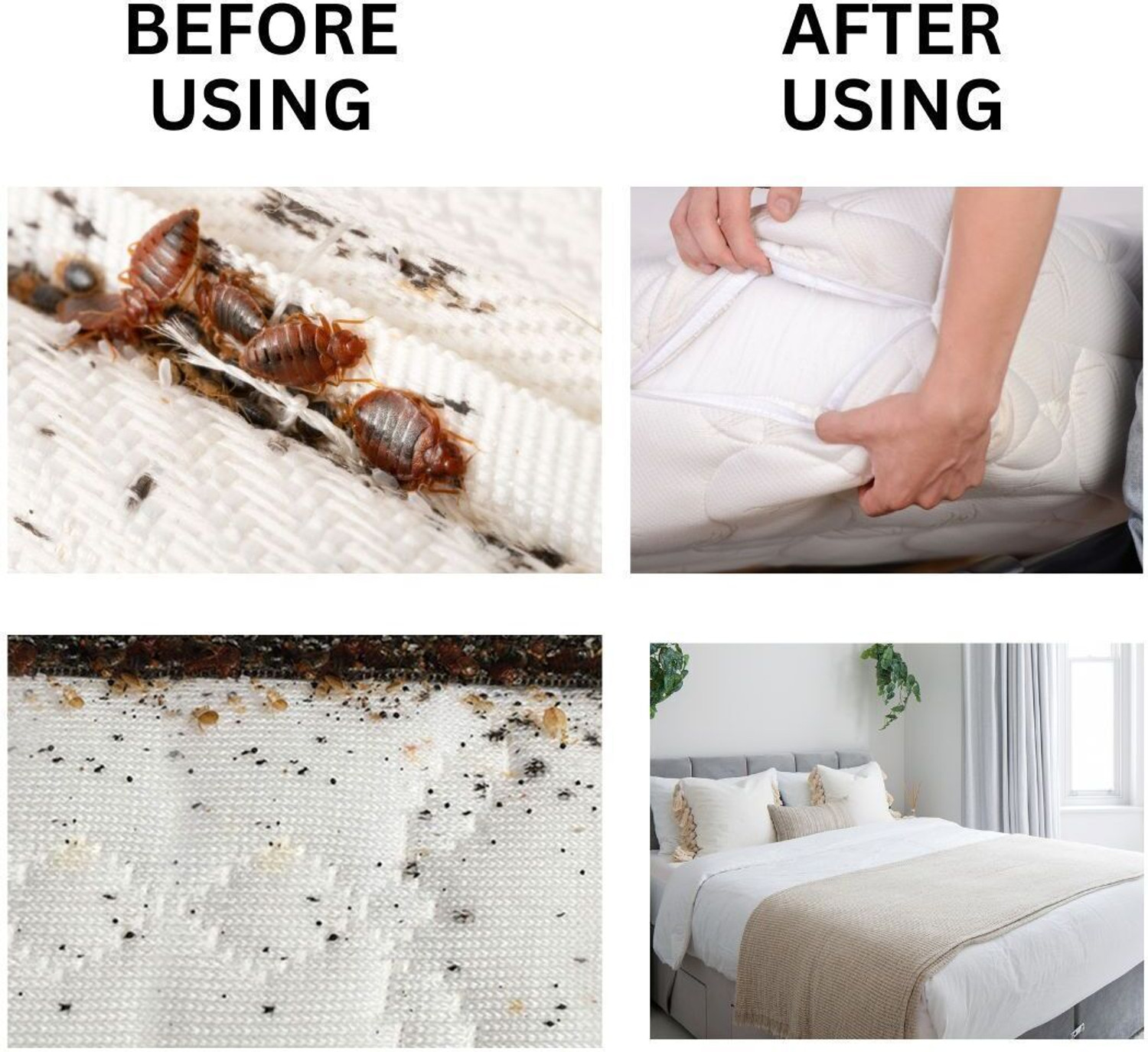 Image of Bye organic Bedbug Spray 200ml | Natural, Non-Toxic & Effective Bedbug Repellent for Home