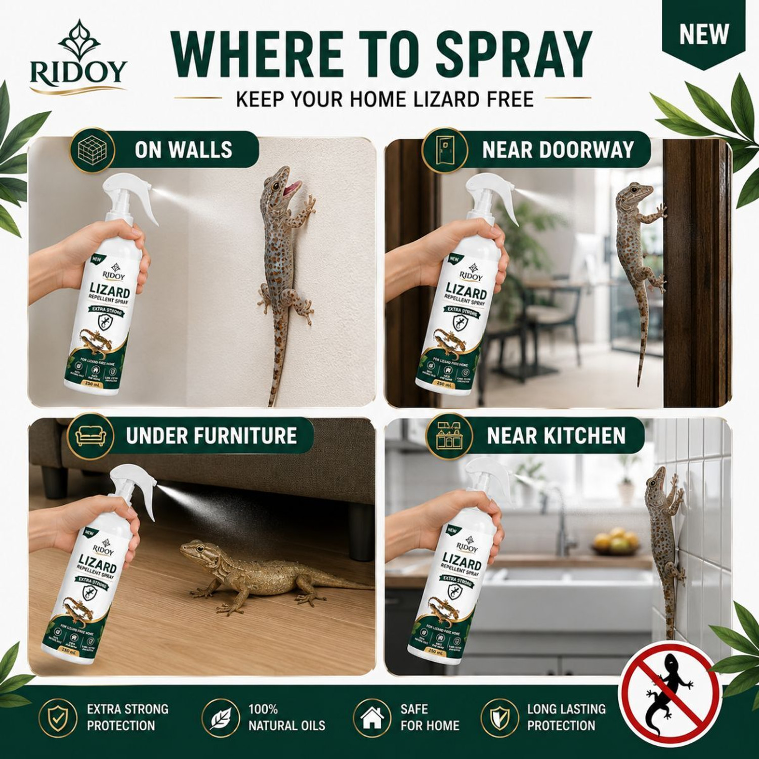 Image of RIDOY Lizard Killer Spray | Professional Lizard Repellent Spray Formula for Routine