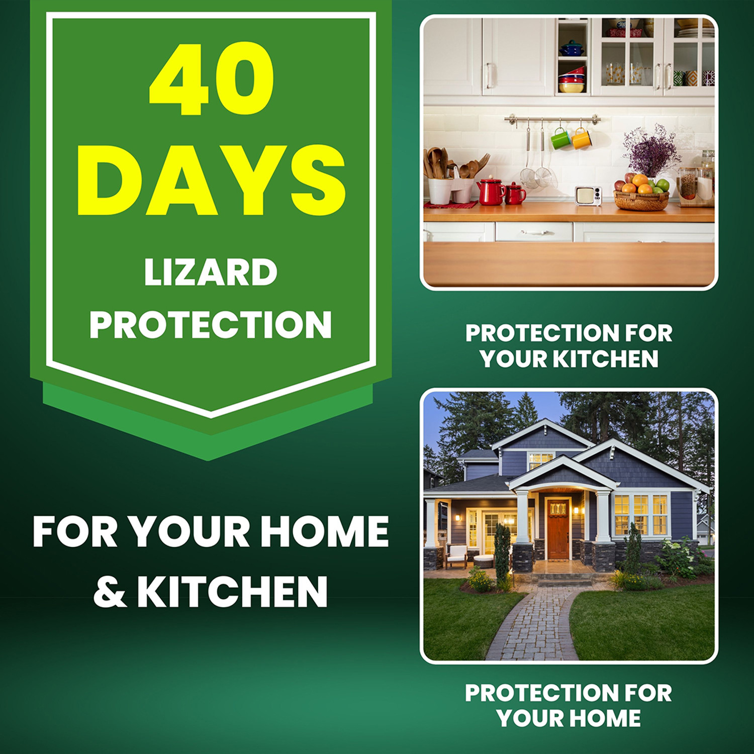 Image of ELEM Repl Lizard Repellent Spray For Indoor & Outdoor