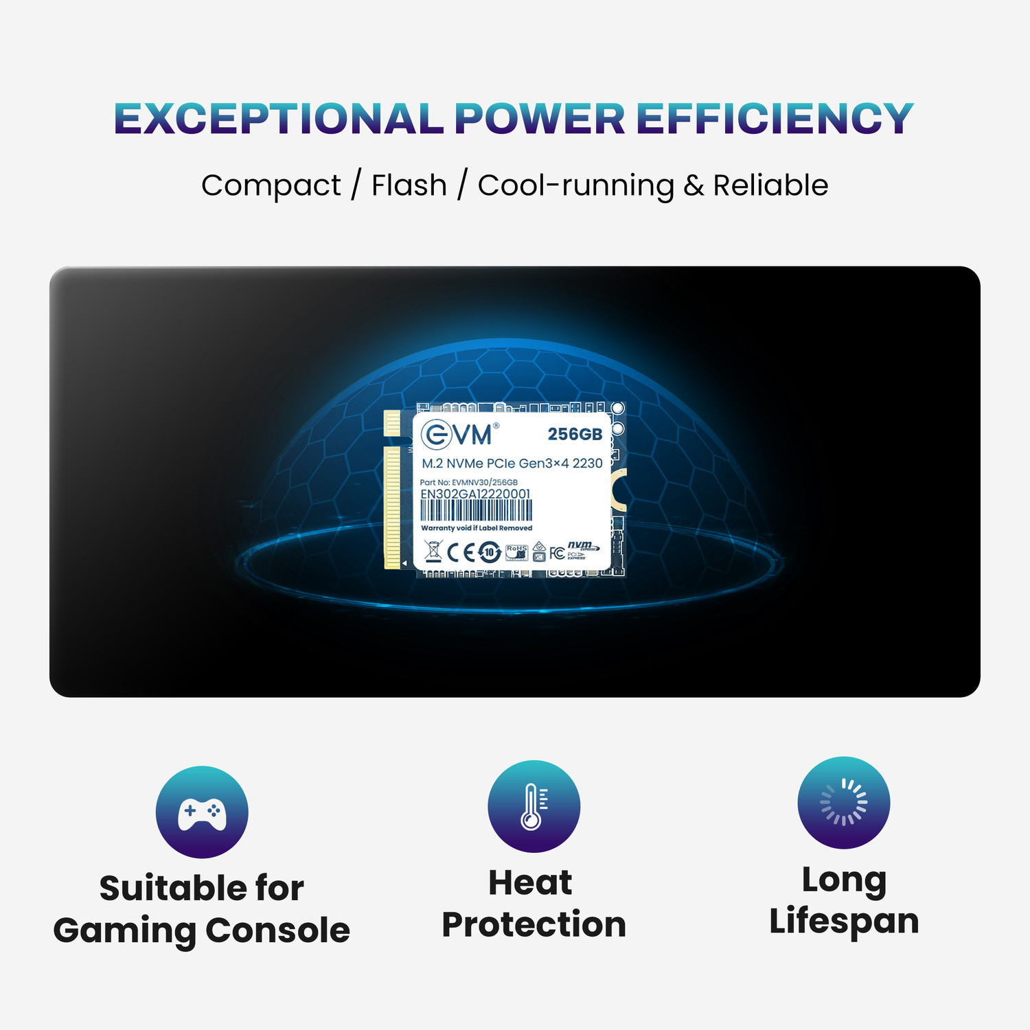 Image of EVM M.2 NVMe (2230) 256 GB All in One PC's, Desktop, Laptop Black PCIe NVMe Internal Solid State Drive (SSD) (EVMNV30 /256GB)