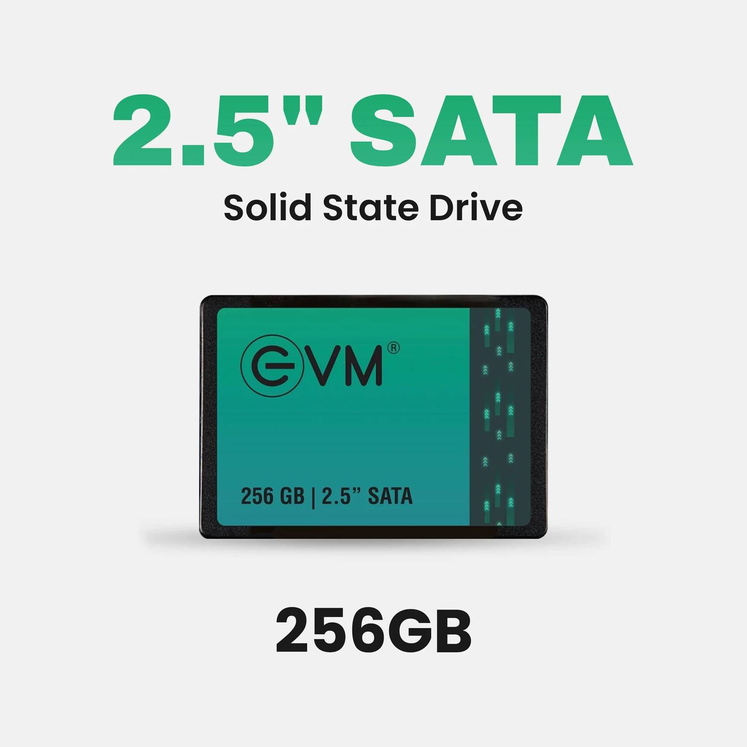 EVM EVM25 256GB Black SATA SSD - Image 2