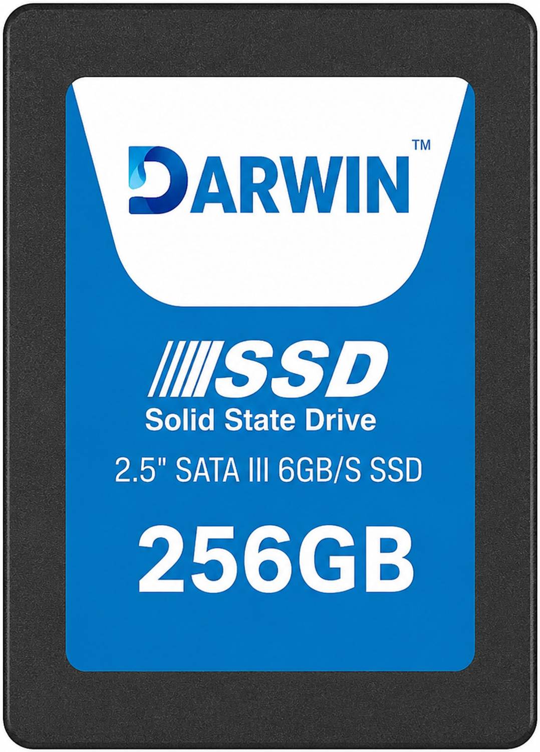 Darwin SSD 256 GB All in One PC's, Desktop, Laptop, Surveillance Systems Black SATA Internal Solid State Drive (SSD) (E100 256GB 2.5-inch SSD Drive)
