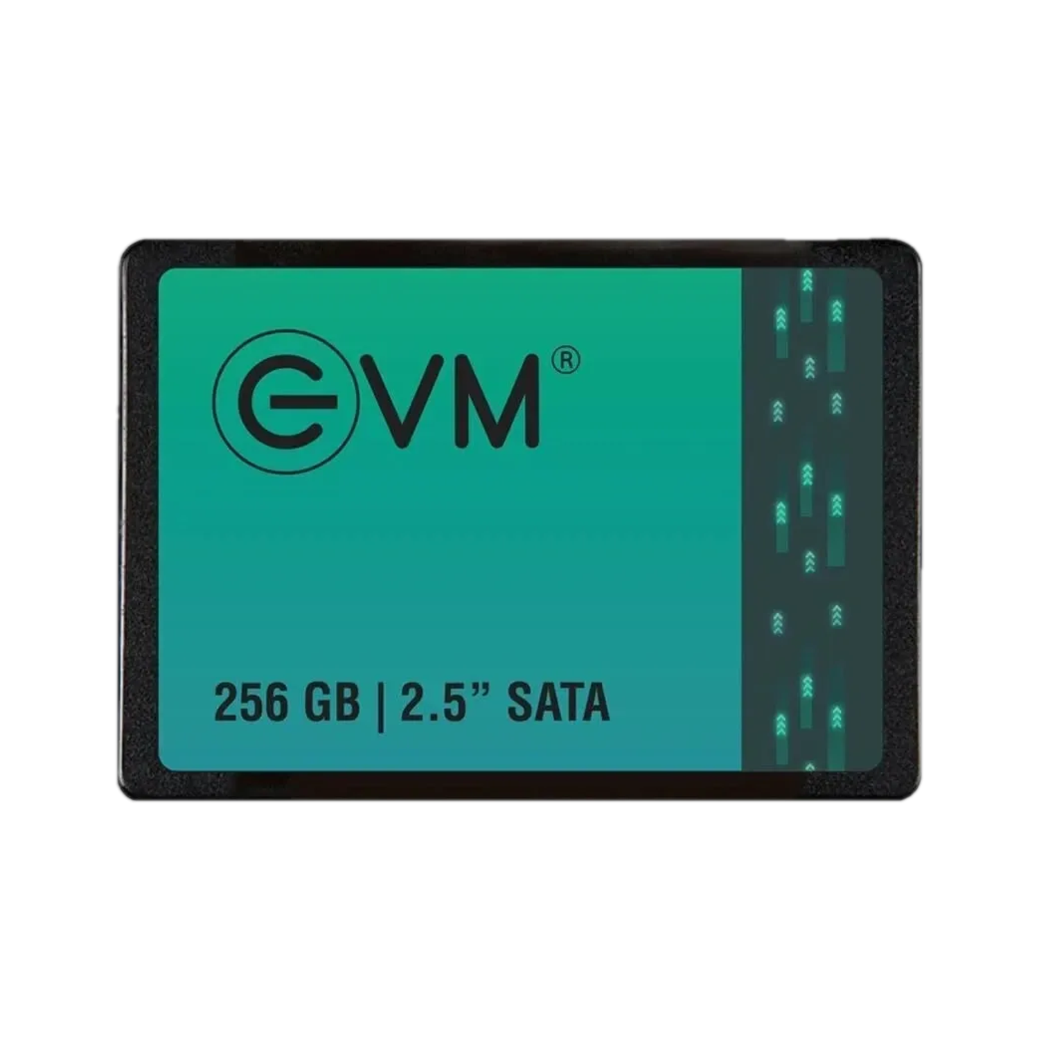 EVM EVM25 256GB Black SATA SSD - Image 1