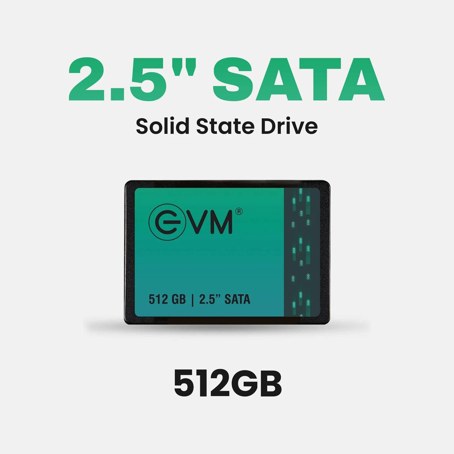 EVM EVM25 512GB Black SATA SSD - Image 2