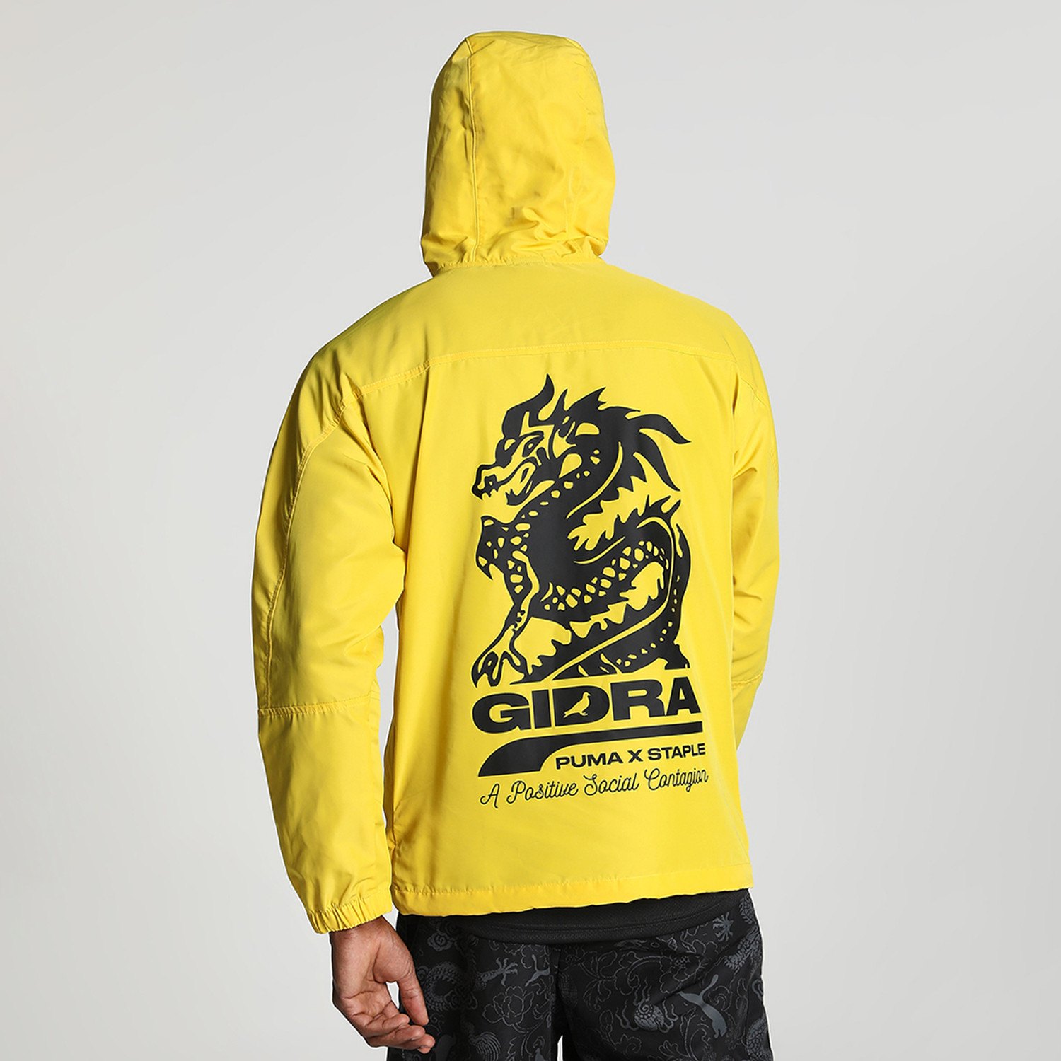 Image of PUMA Full Sleeve Solid Men Jacket