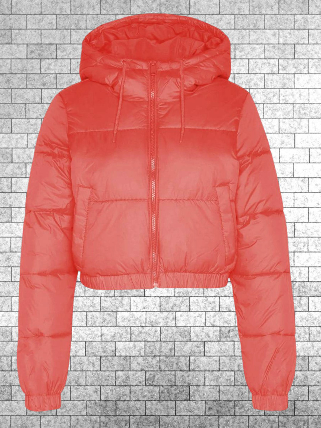Image of KOTTY Full Sleeve Solid Women Jacket