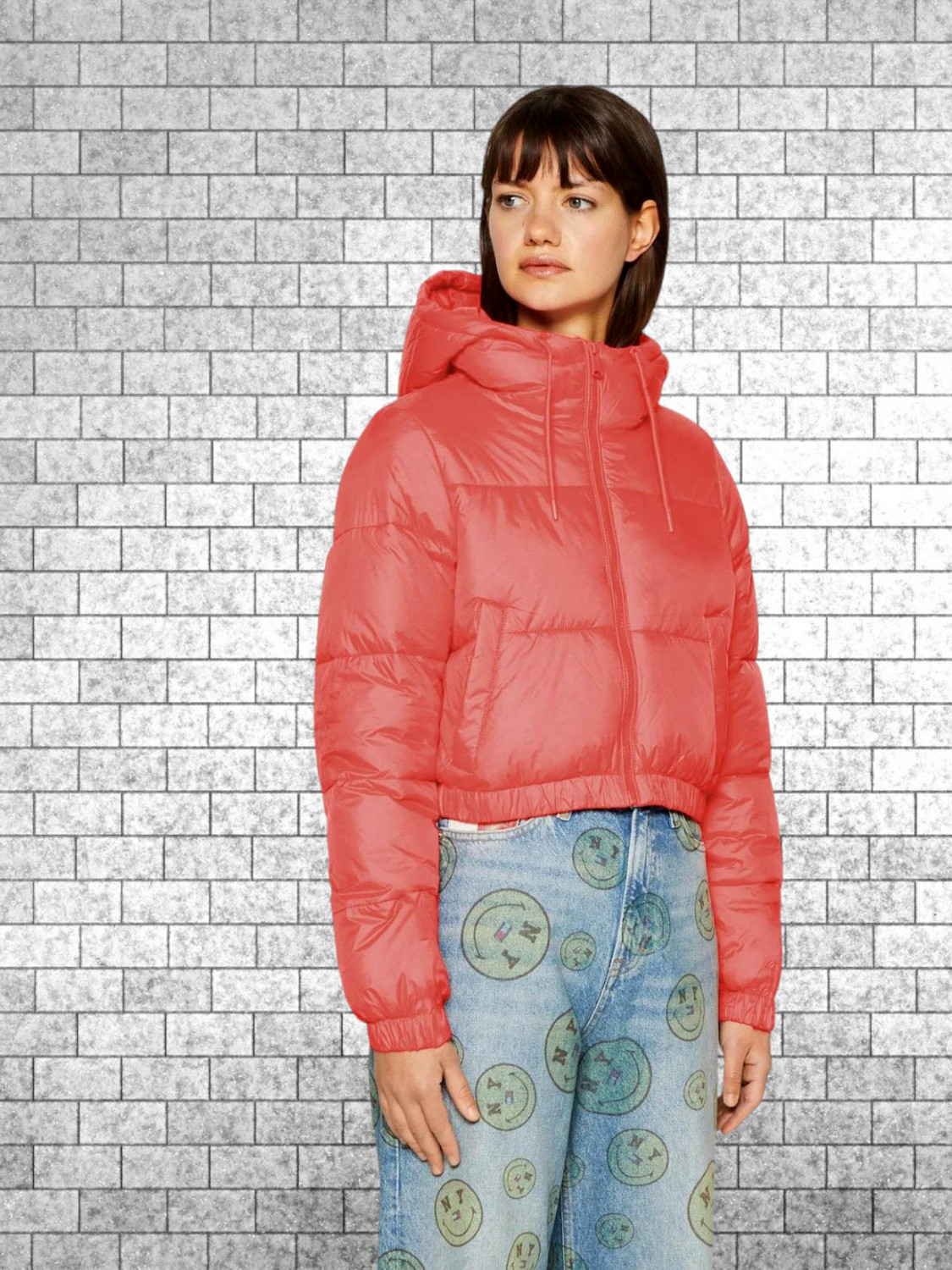 Image of KOTTY Full Sleeve Solid Women Jacket