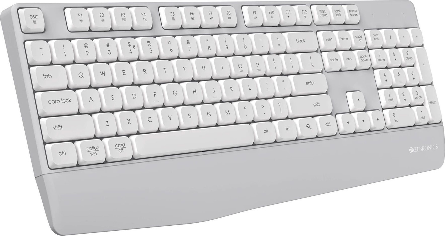 Image of ZEBRONICS Companion 202 Wireless Standard Desktop Keyboard Compatible with Desktop, Laptop, Mac 104 Keys, Copilot AI Key, 12 Multimedia Keys, 1600 DPI, Silent, 4 Buttons