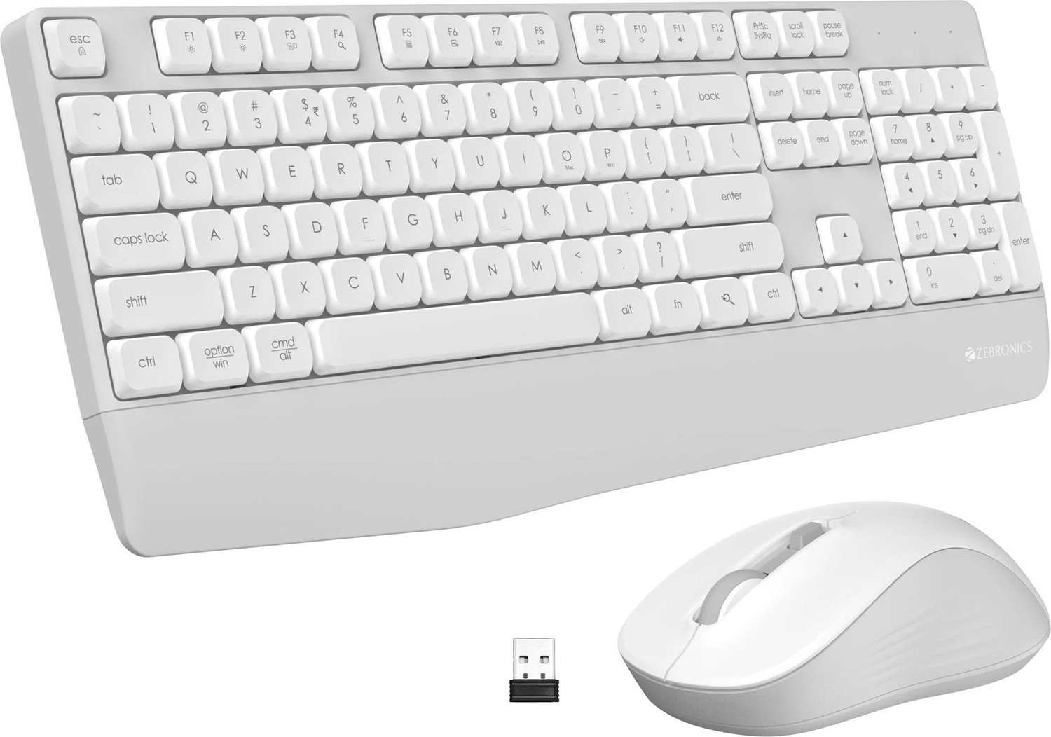 Image of ZEBRONICS Companion 202 Wireless Standard Desktop Keyboard Compatible with Desktop, Laptop, Mac 104 Keys, Copilot AI Key, 12 Multimedia Keys, 1600 DPI, Silent, 4 Buttons