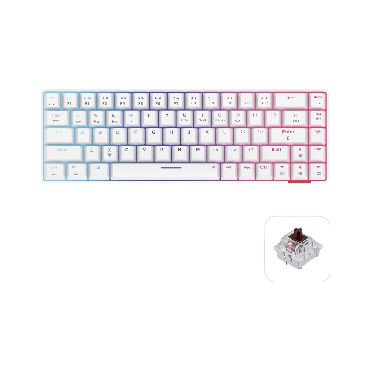 Portronics Hydra 10/5.0 Wireless RGB Mechanical Keyboard