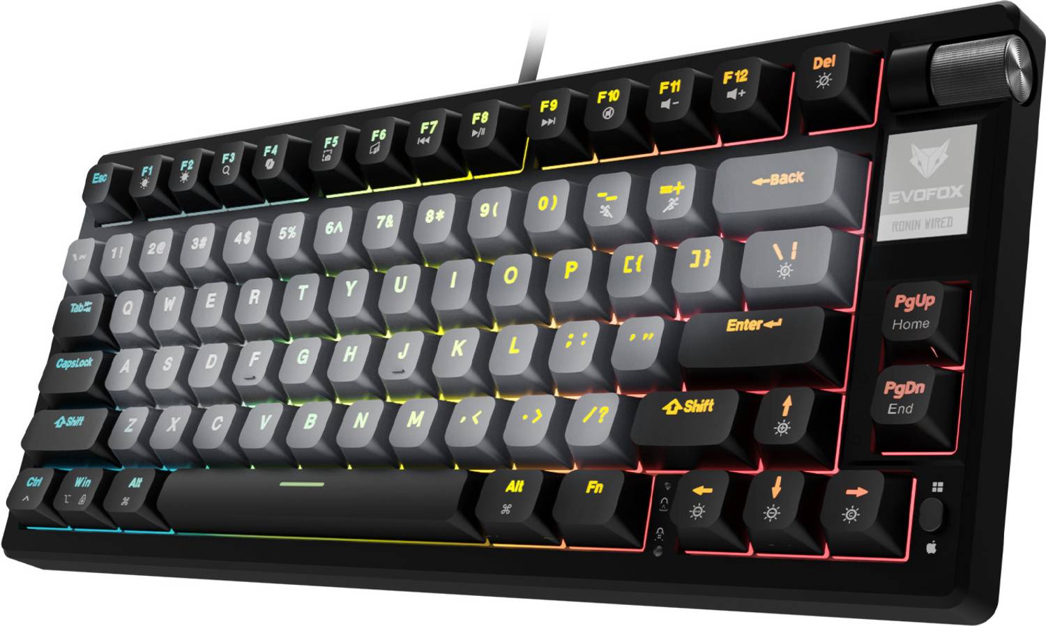 EVOFOX Ronin TKL RGB Mechanical Wired USB Tenkeyless Gaming Keybo