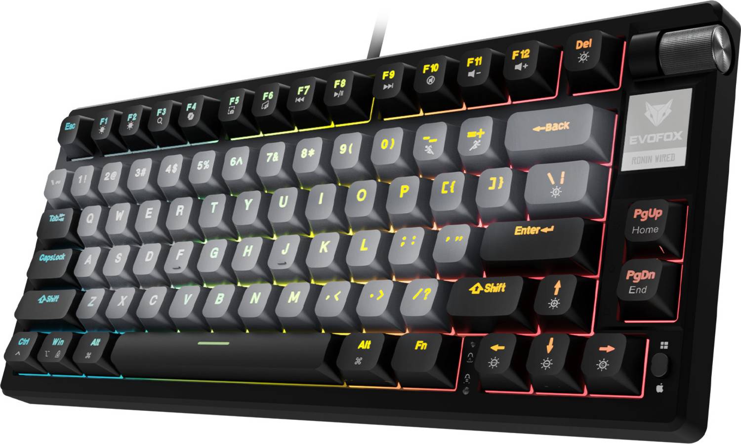 EVOFOX Ronin TKL RGB Mechanical Gaming Keyboard