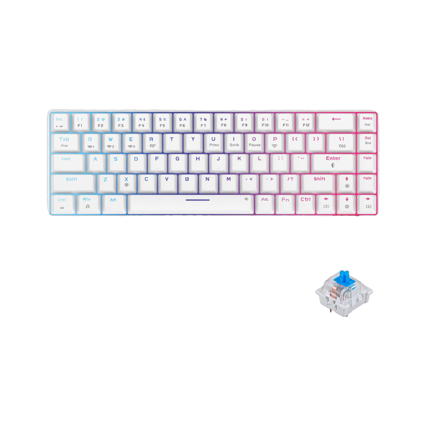 Portronics POR 1880 Bluetooth Gaming Keyboard