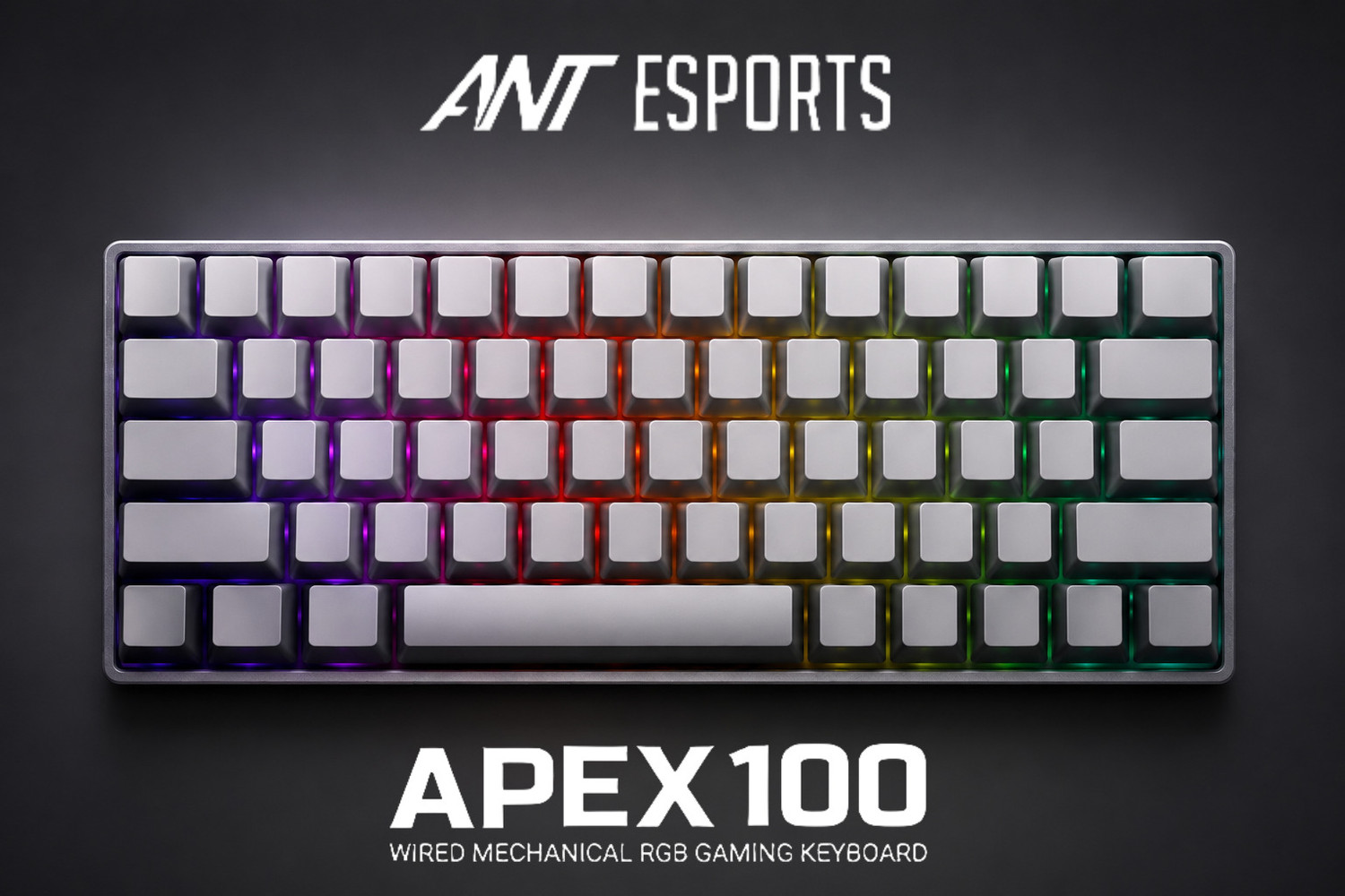 Image of Ant Esports APEX 100 Mechanical Wired USB Standard Gaming Keyboard Compatible with Desktop, iPad, Laptop, Mac, Tablet
