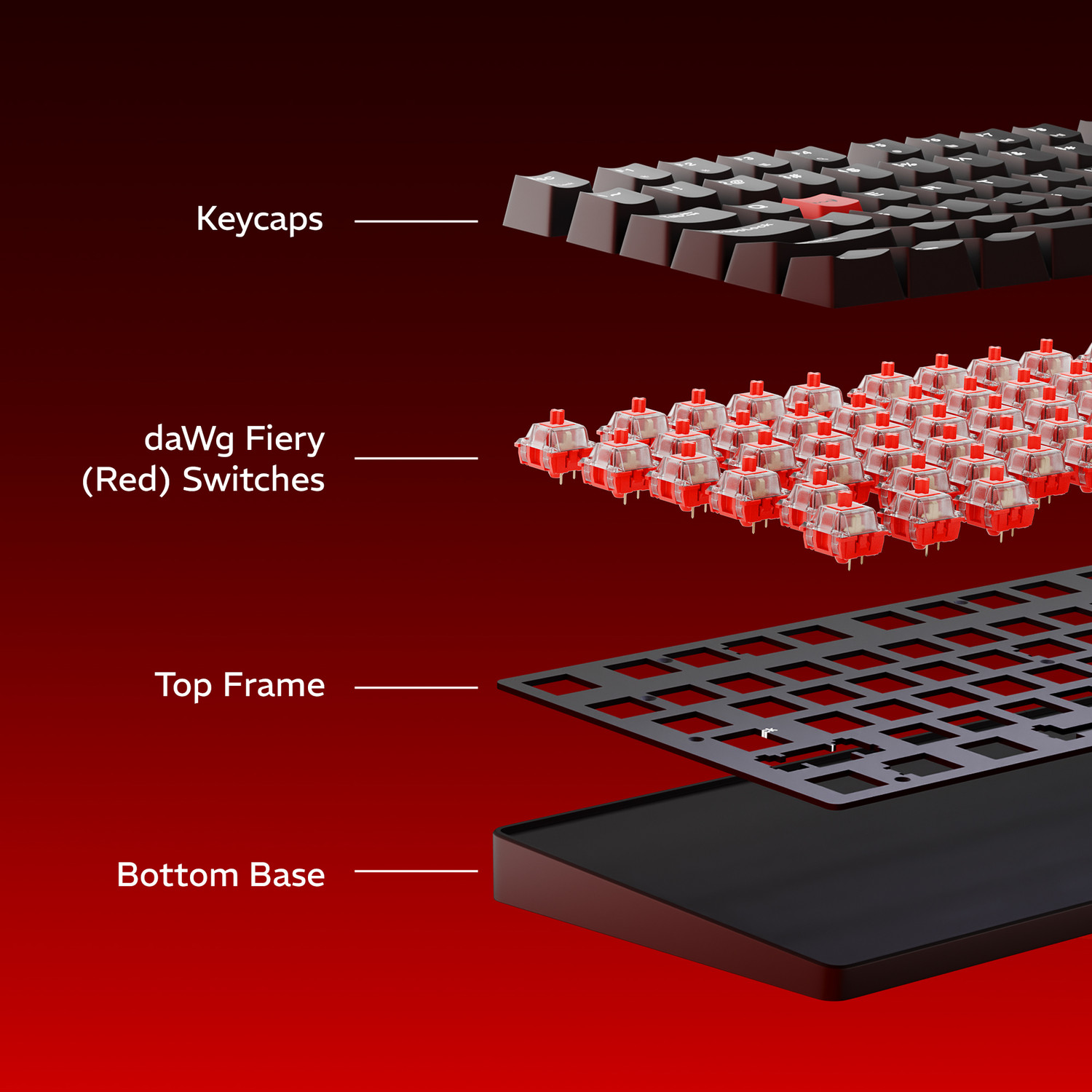 Image of daWg Highkey 373 Wired USB Standard Gaming Keyboard Compatible with Desktop, Laptop
