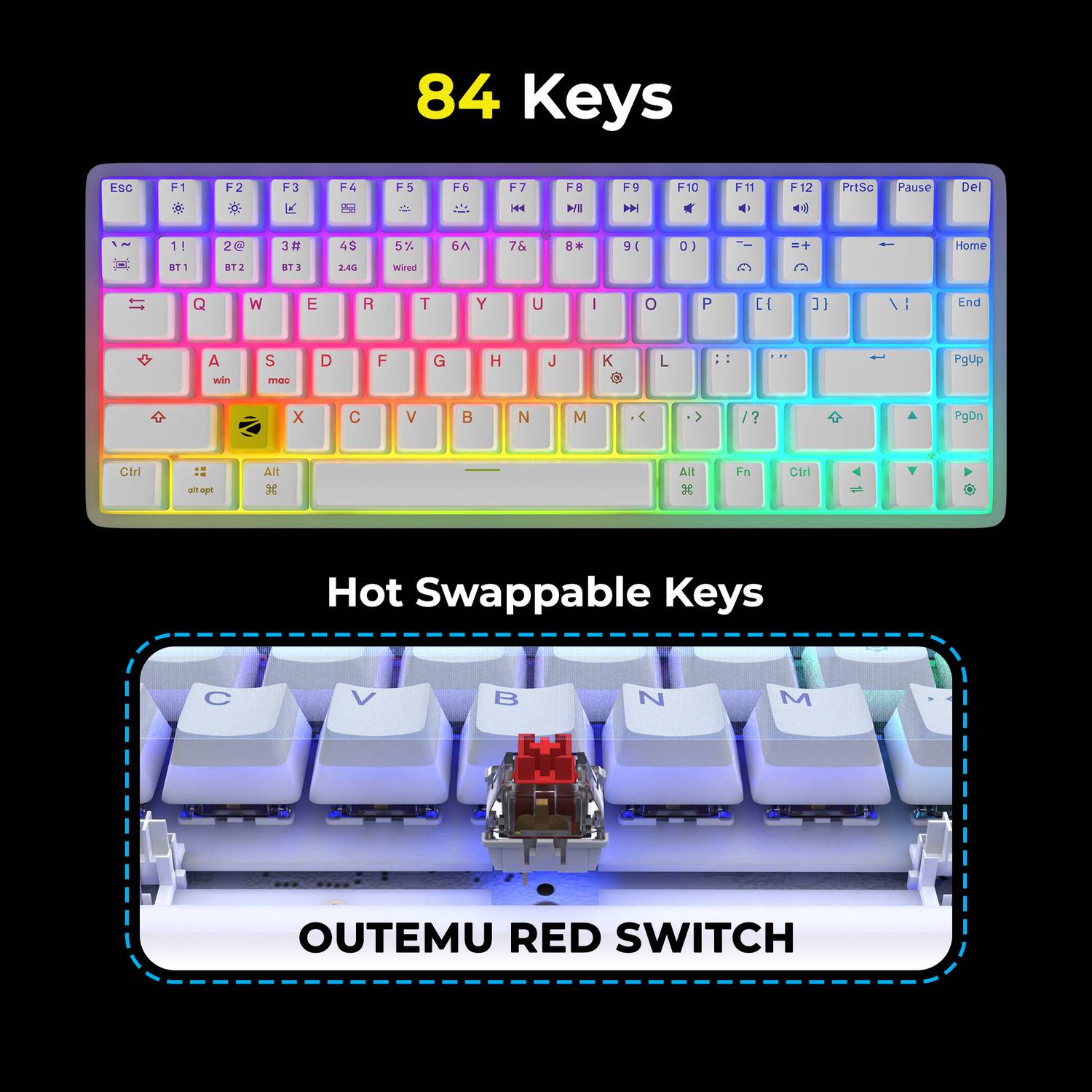 ZEBRONICS Zeb-Max Ninja 200 Wired USB Standard Gaming Keyboard