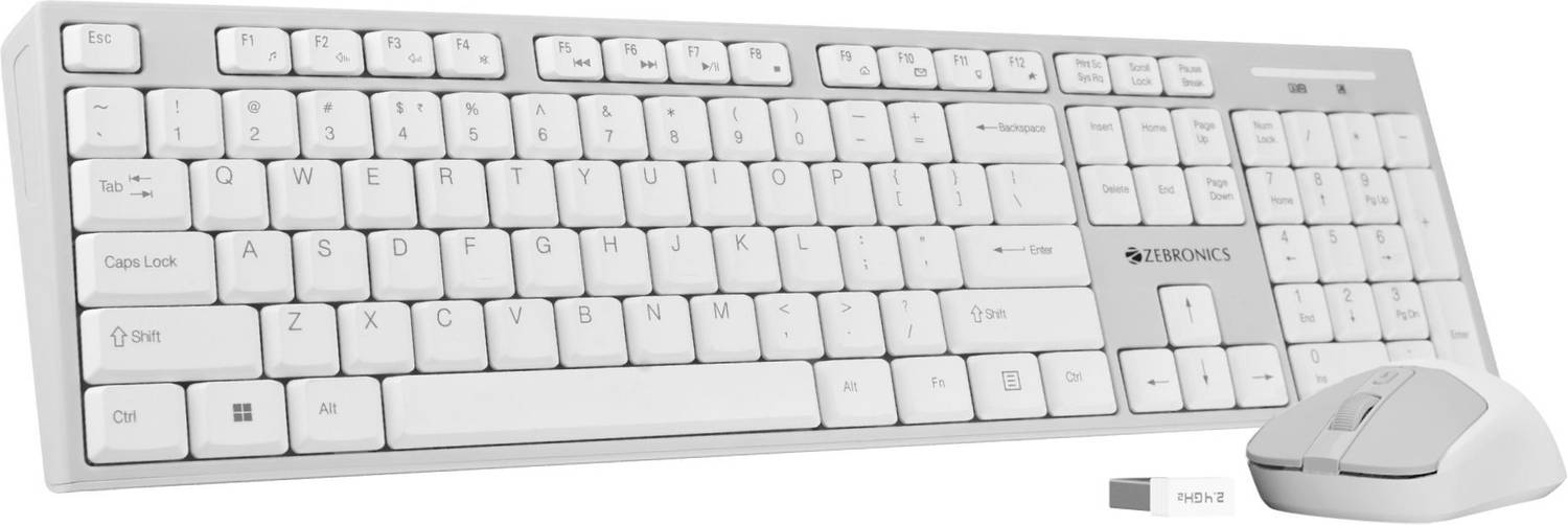 ZEBRONICS Zeb-Companion 304 (White+Grey) Wireless Standard Laptop