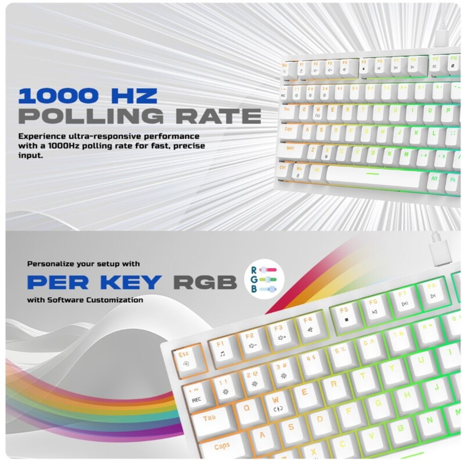 Image of Cosmic Byte CB-GK-42 Phantom Wired USB Tenkeyless Gaming Keyboard Compatible with Desktop