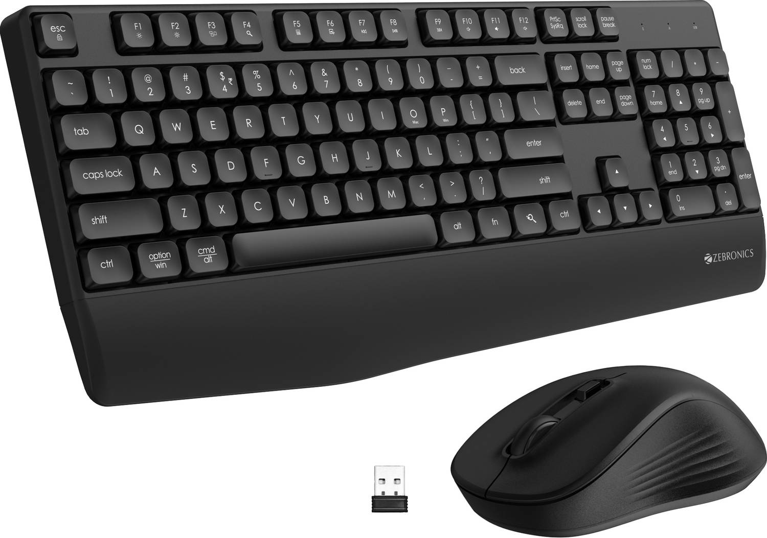 ZEBRONICS Companion 202 Wireless Standard Desktop Keyboard Compat